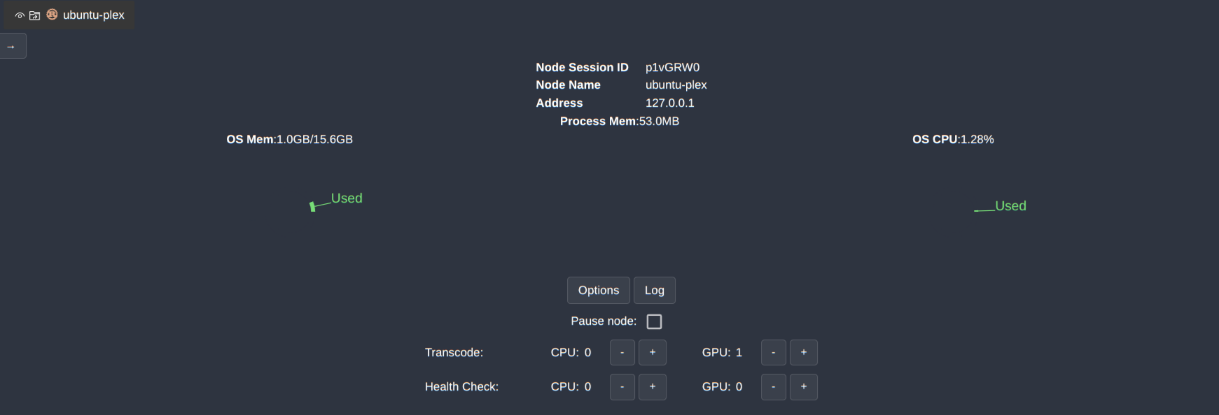 single worker process set at worker details