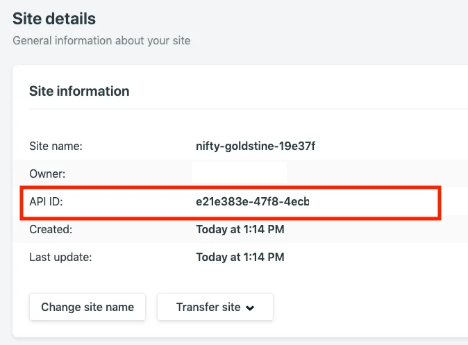 Netlify - Site Details